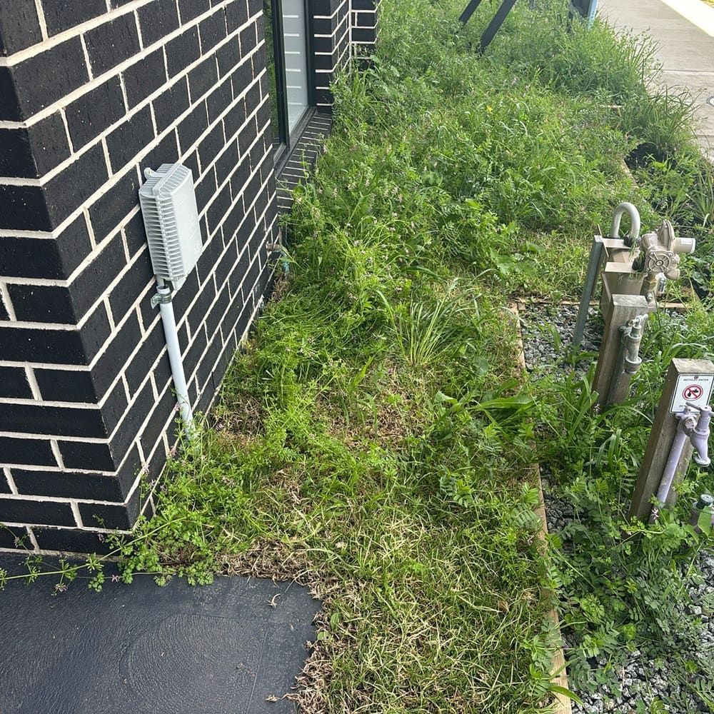 Breaching/bridging of termite barriers found, recorded during a building and pest inspection in Donnybrook