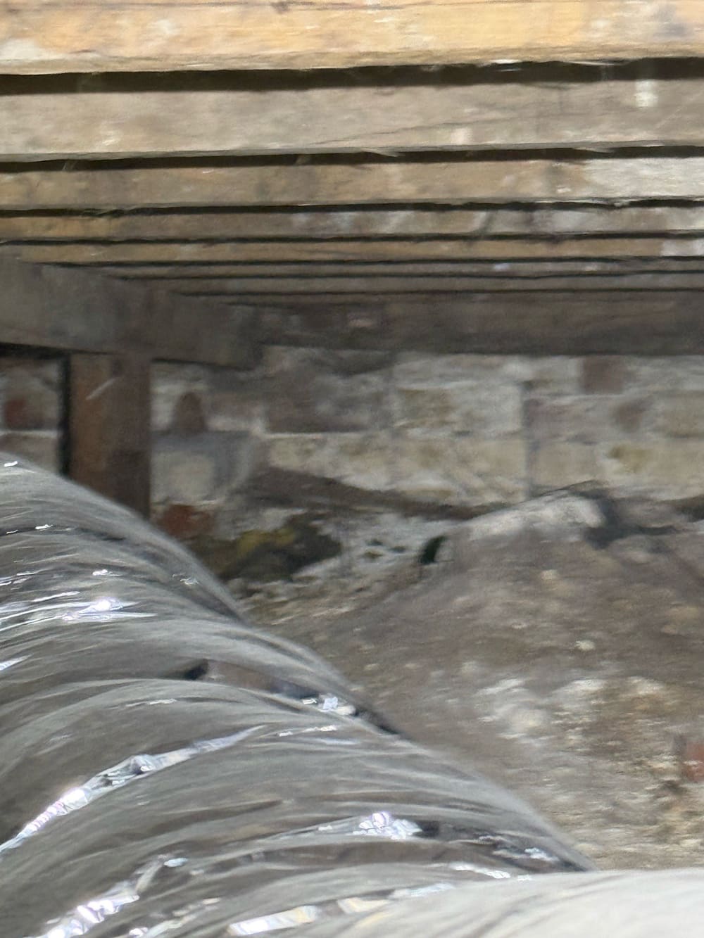 Building and Pest Inspections in Whittlesea